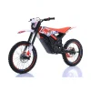 ARES RALLY PRO DLX Electric Dirt Bike