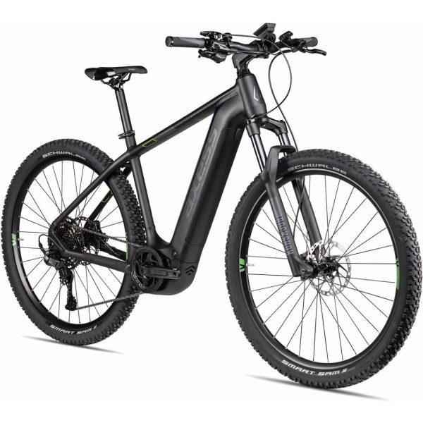 Axess ELEMENT - Electric Mountainbike - 2026 - black matt/darkrainbow/green