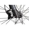 Axess ELEMENT - Electric Mountainbike - 2026 - black matt/darkrainbow/green