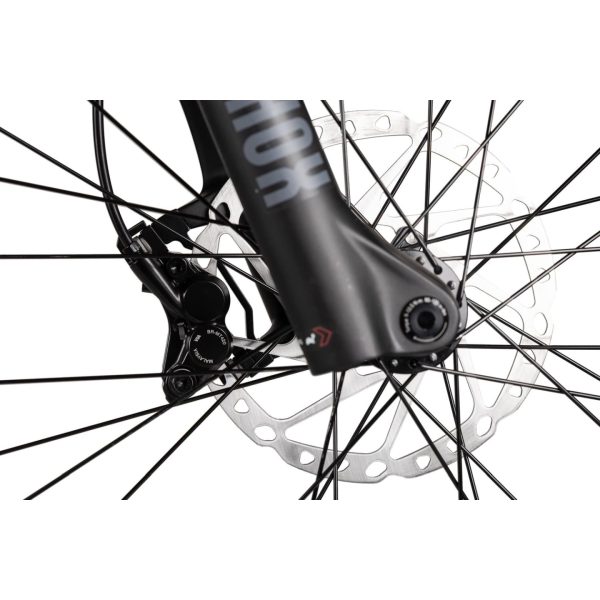 Axess ELEMENT - Electric Mountainbike - 2026 - black matt/darkrainbow/green