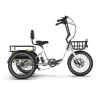 Emojo Dexter Tricycle