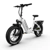 verve-long-range-fat-tire-folding-electric-bike-3509638_800x800 Kingbull Verve | Long Range Fat Tire Folding Electric Bike